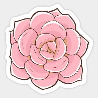 Pink succulent Sticker